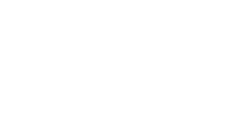 The Allegation